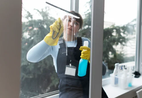 Nettoyage de vitres intérieures et extérieures à Longes